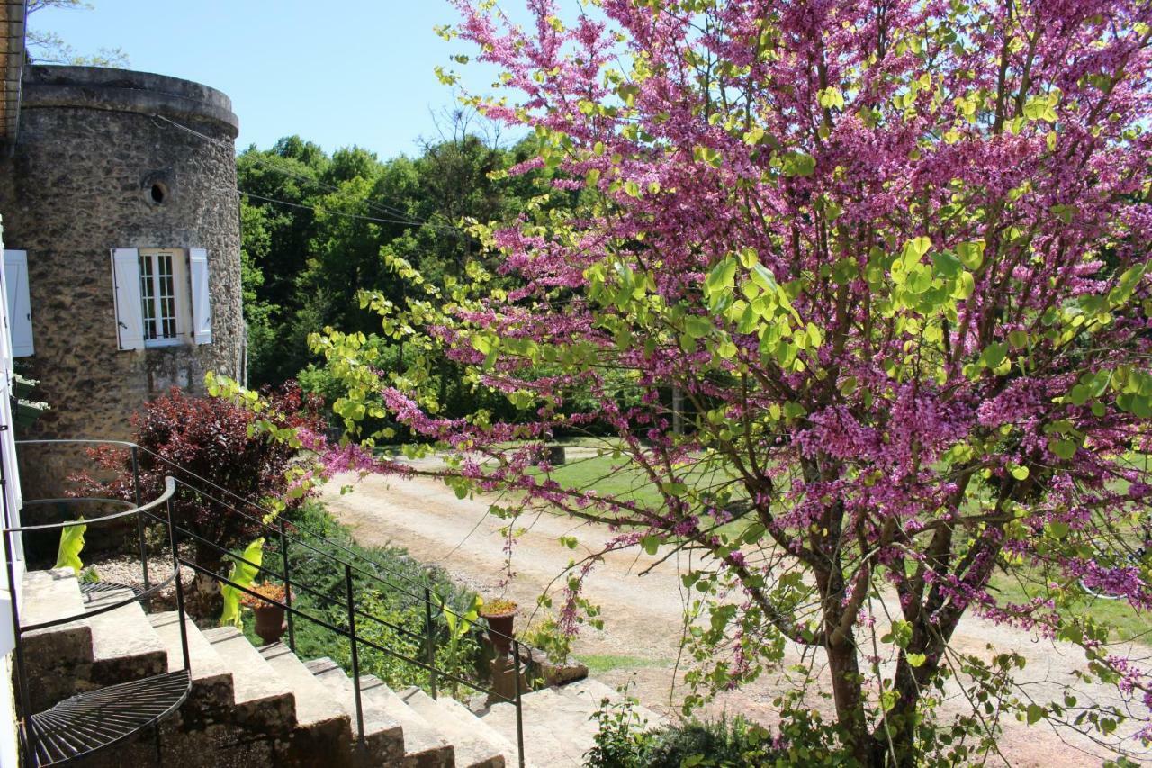 Ancien Haras De La Tour Bed & Breakfast Lamothe-Landerron Exterior photo